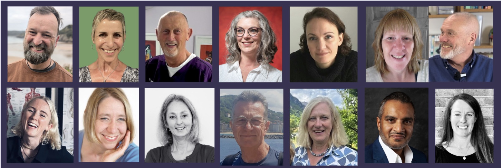 Upledger CranioSacral Therapy practitioners